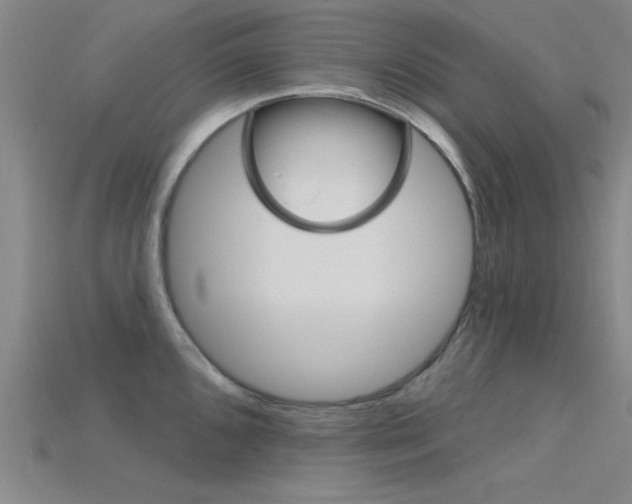 X0000115811096200911131037