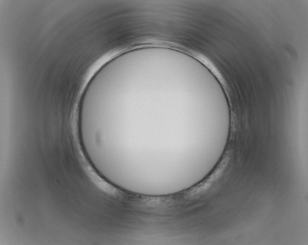 X0000115811098200911131037