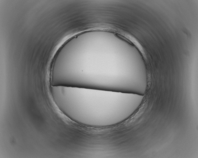 X0000115811099200911131037