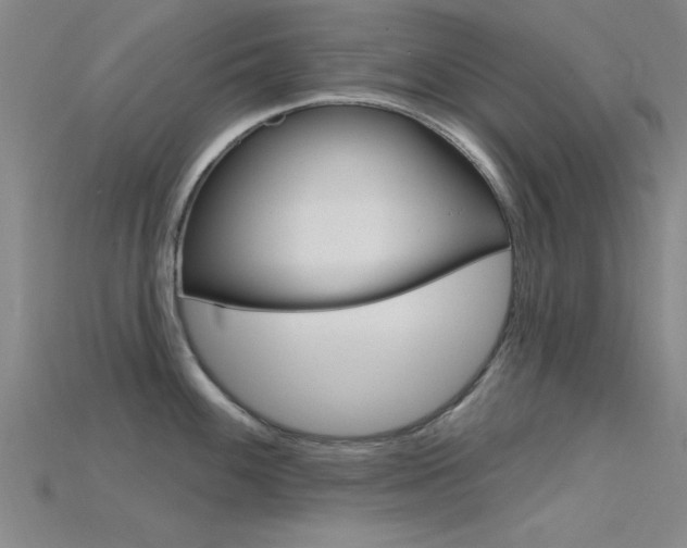X0000115811100200911131037