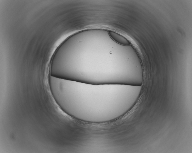X0000115811102200911131037