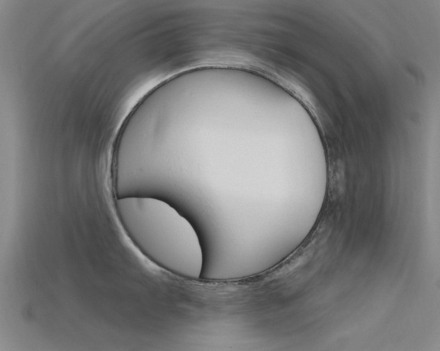 X0000115811103200911131037