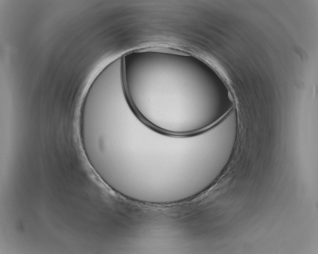 X0000115811104200911131037