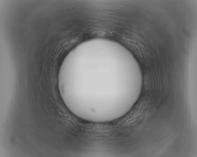 X0000115811105200911131037