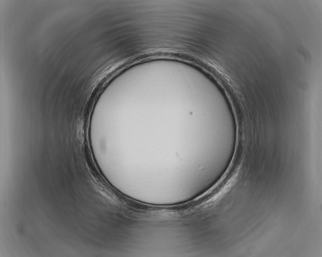 X0000115811113200911131037