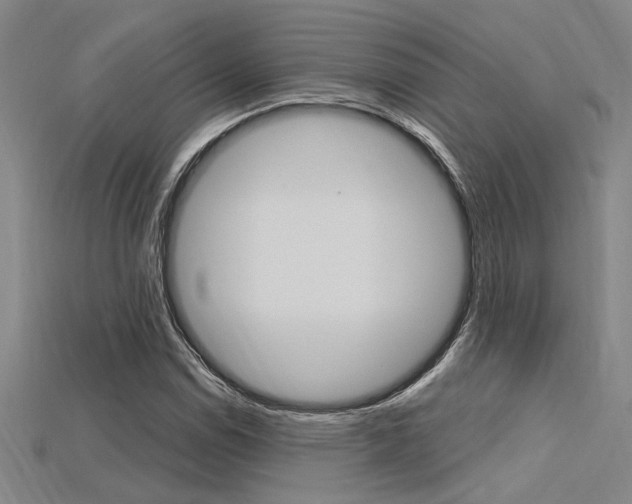 X0000115811114200911131037
