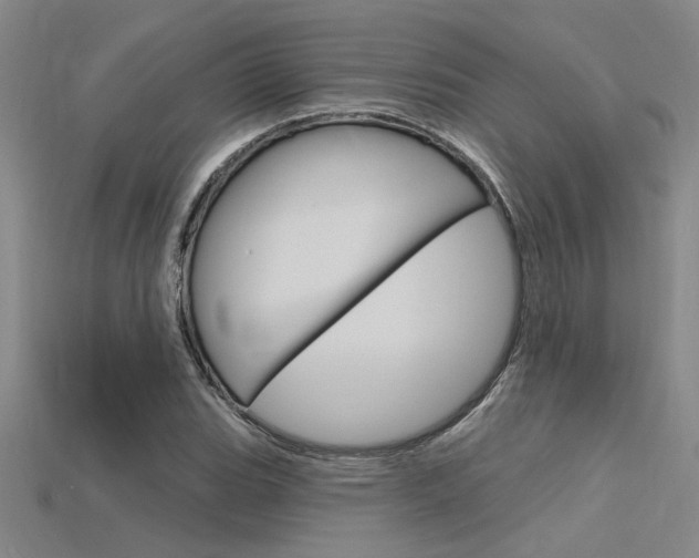 X0000115811119200911131037