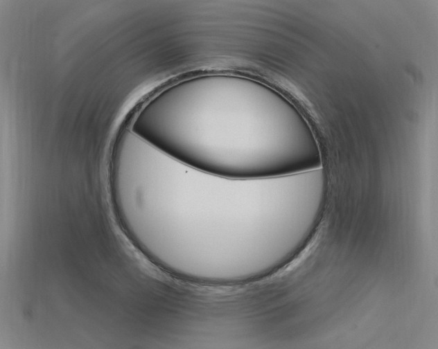 X0000115811122200911131037