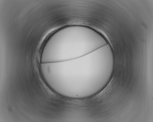 X0000115811123200911131037