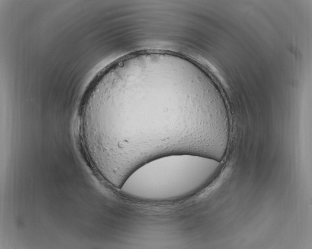 X0000115811125200911131037