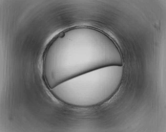 X0000115811127200911131037