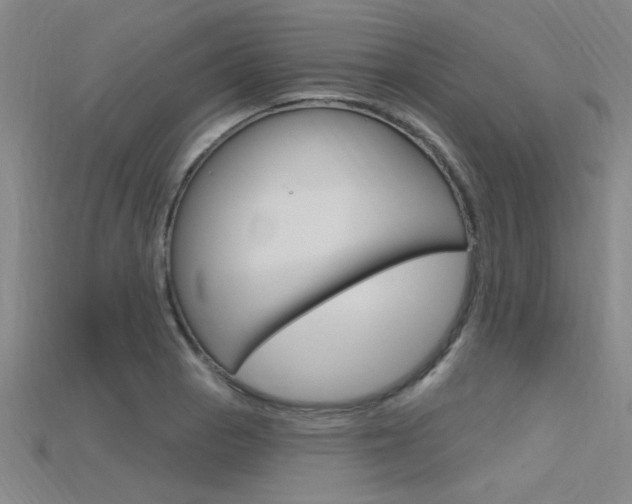 X0000115811129200911131037
