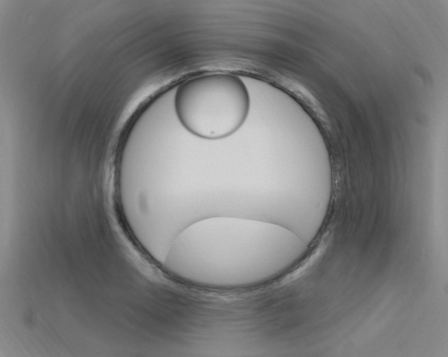X0000115811130200911131037