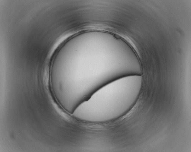 X0000115811131200911131037