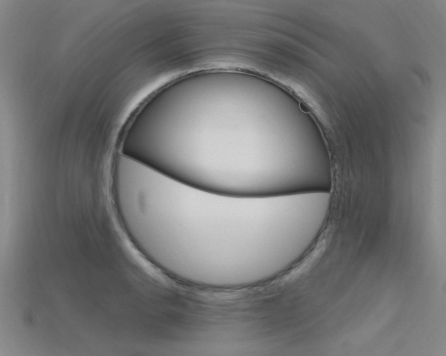 X0000115811134200911131037