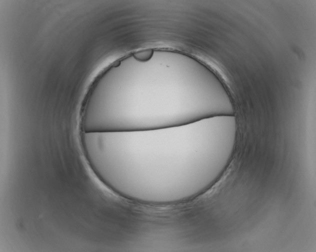 X0000115811135200911131037