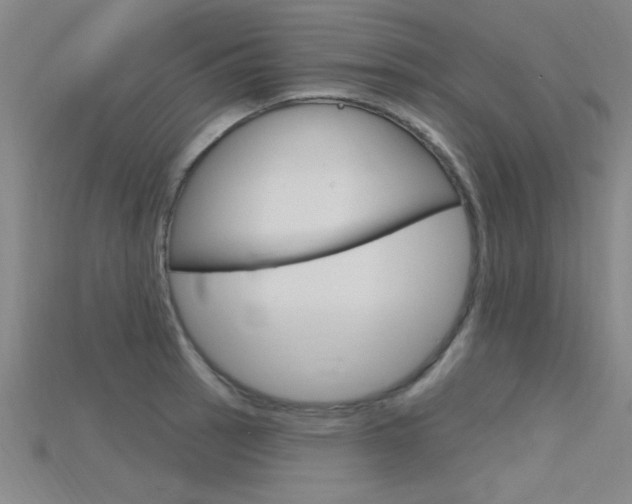 X0000115811137200911131037