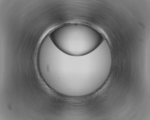 X0000115811138200911131037