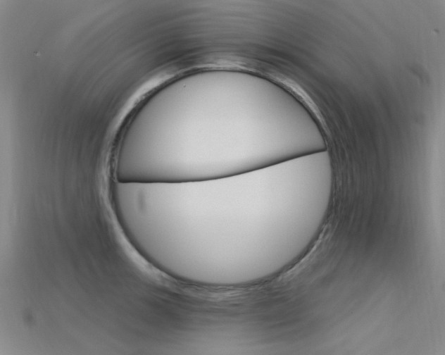 X0000115811139200911131037