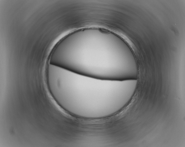 X0000115811142200911131037