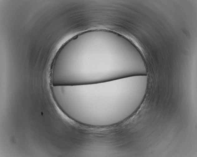 X0000115811143200911131037