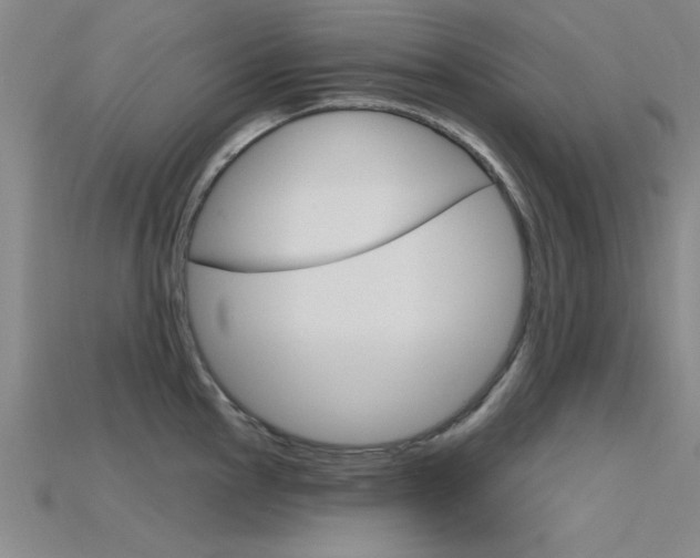 X0000115811145200911131037