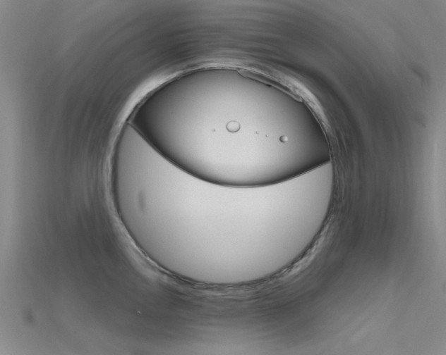 X0000115811146200911131037