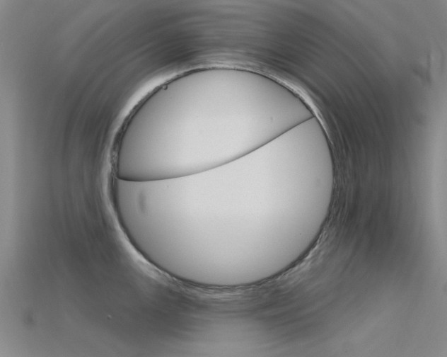 X0000115811147200911131037