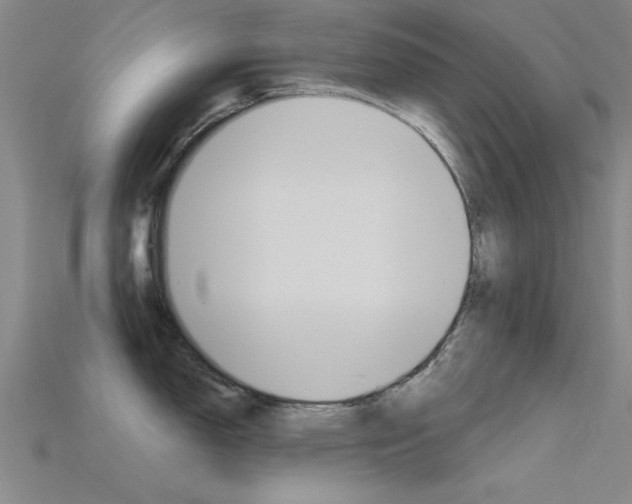 X0000115811150200911131037