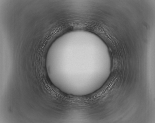 X0000115811153200911131036