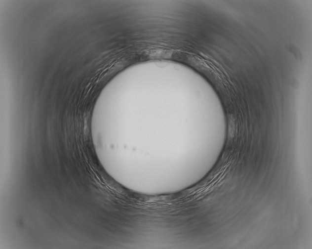 X0000115811154200911131036