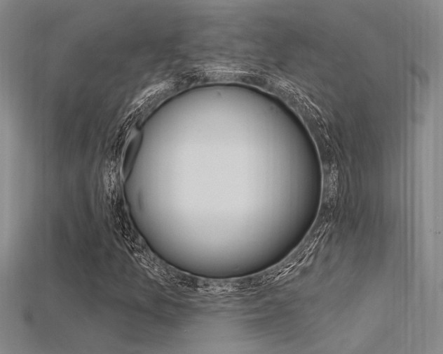 X0000115811157200911131036