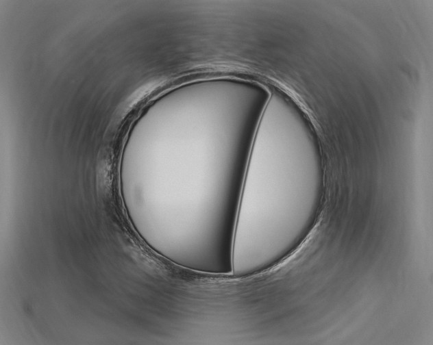 X0000115811163200911131036