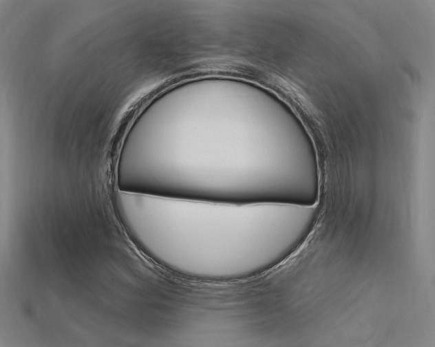 X0000115811164200911131036
