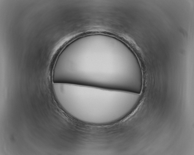 X0000115811167200911131036