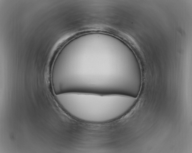 X0000115811172200911131036