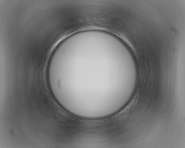 X0000115811173200911131036