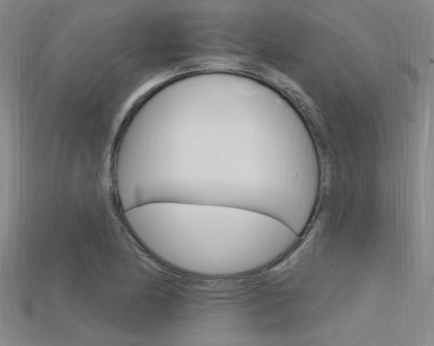 X0000115811174200911131036