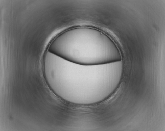 X0000115811175200911131036