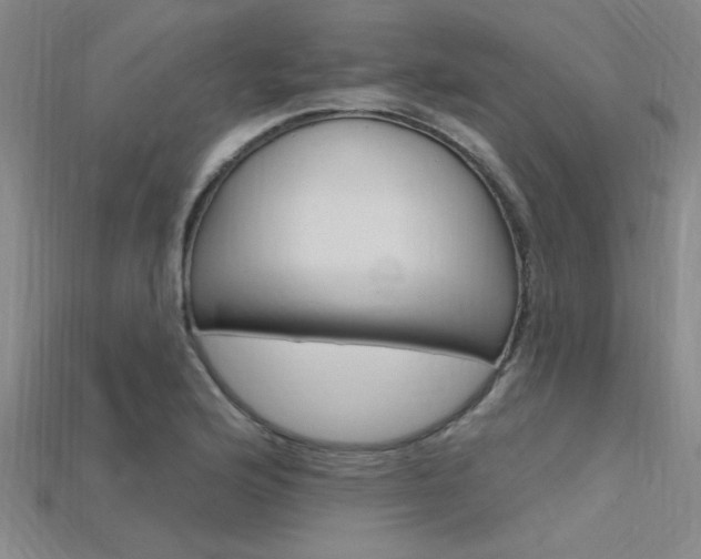 X0000115811176200911131036