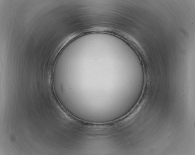 X0000115811177200911131036