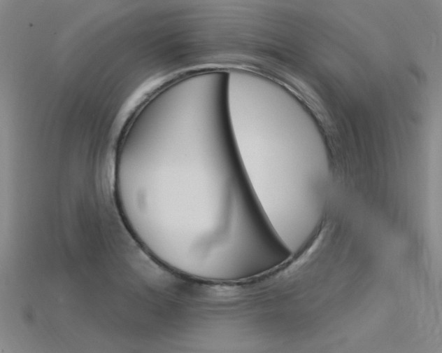 X0000115811180200911131036