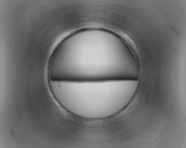X0000115811183200911131036
