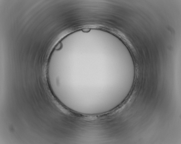 X0000115811186200911131036