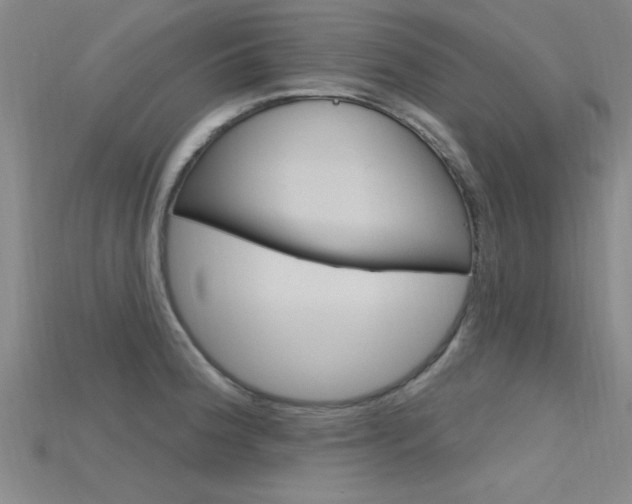 X0000115811188200911131036
