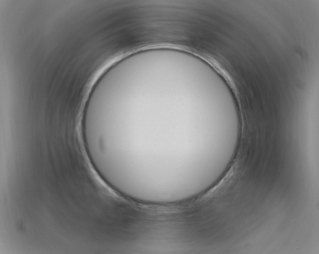 X0000115811189200911131036