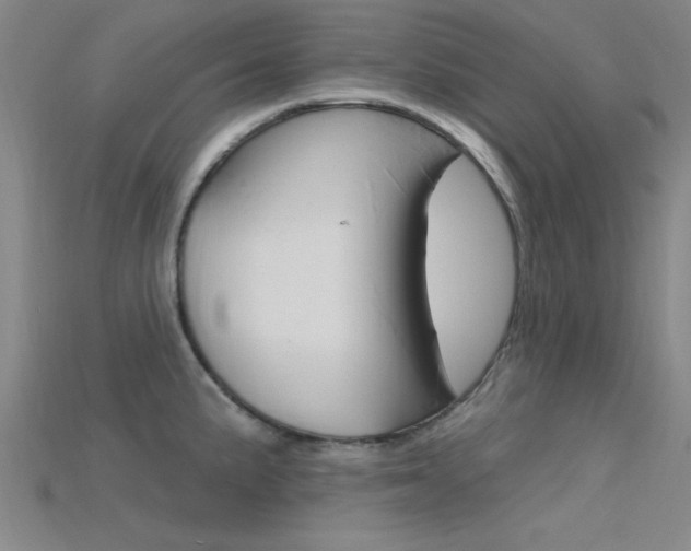 X0000115811191200911131036