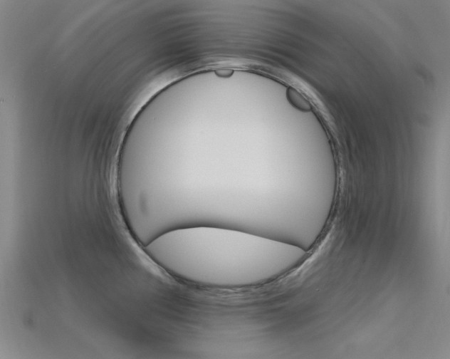 X0000115811194200911131036