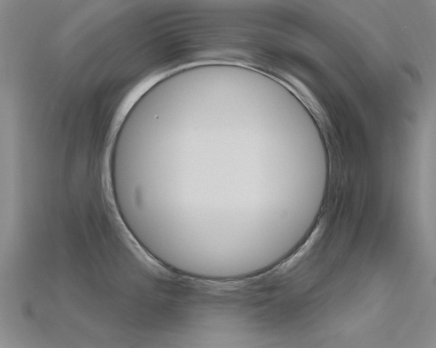 X0000115811196200911131036