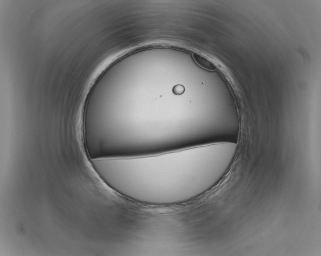 X0000115811199200911131036